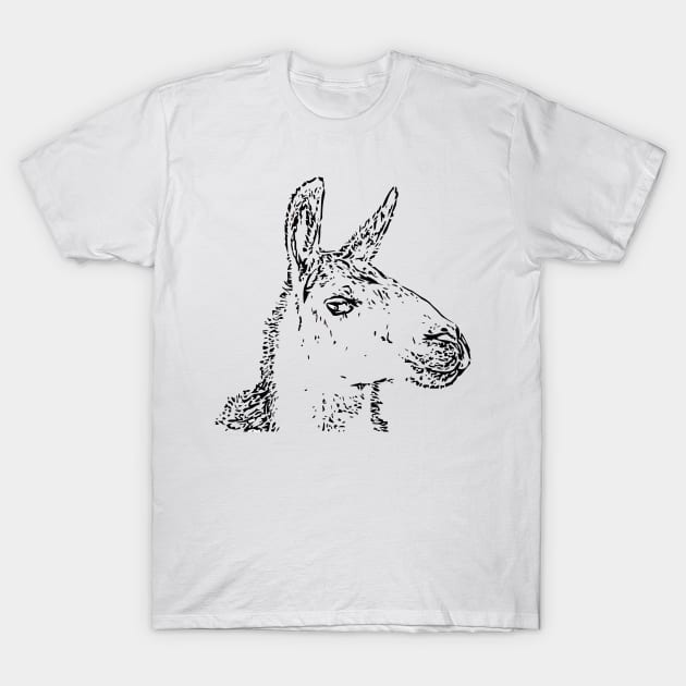 Lama (black) T-Shirt by RosArt100